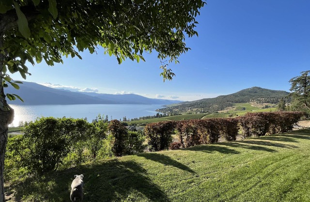 Enjoy the view of Okanagan Lake while relaxing on this private two acres of land