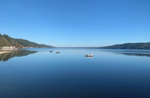 Enjoyable house with WiFi in Hood Canal beach front.