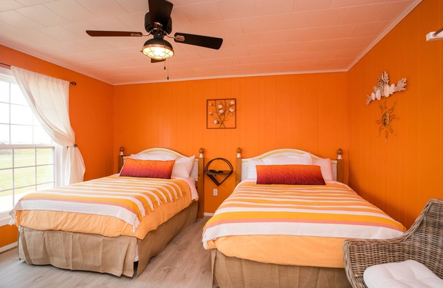 Enter into our Vibrant room "Sunset Crush"