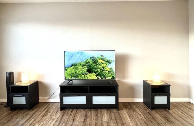 Entire Apartment!!