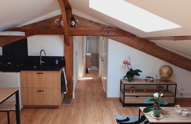 Entire apartment