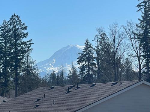 Entire Basement in Puyallup, WA