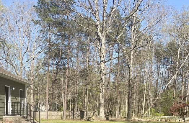 Wilderness Green Haus - Private, Peaceful & Serene