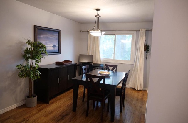 Entire Unique Apartment