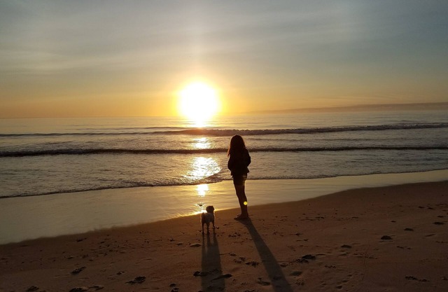 Equine and K9 Friendly lodging in the Outer Banks, NC
