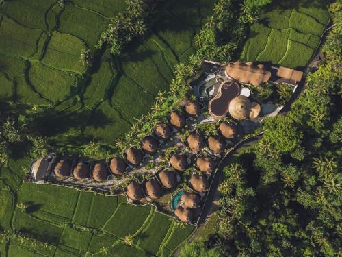 Equipoise Resort & Spa Ubud by Ini Vie Hospitality - Adult Only