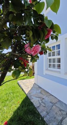 Ericeira -Oceonview Villa with Pool and Whirlpool