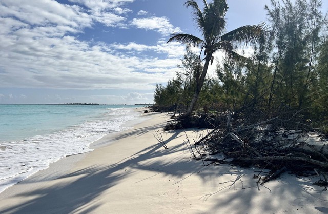 Escape House on Green Turtle Cay is the Perfect Island Getaway w/Deep Water Dock