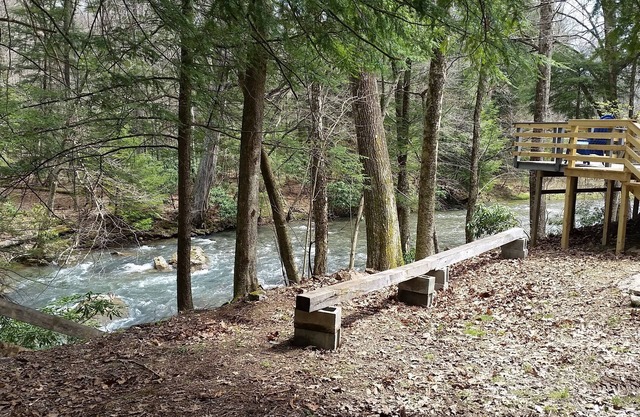 Escapada en el rio