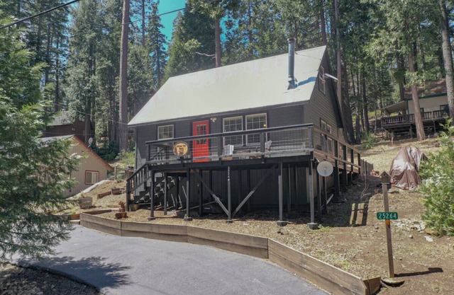 Escape to a cozy cabin in the pines where you can unwind, relax, and reconnect with nature.
