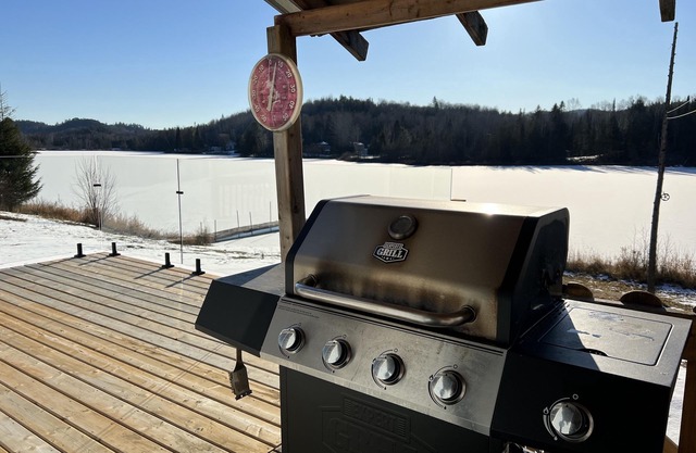 Escape to a Peaceful Waterfront Cottage with an Amazing View on the Lake-fishing