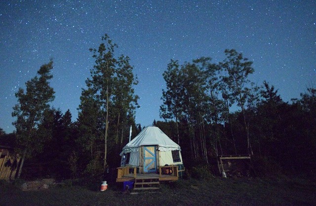 Small Farm Yurt Experience