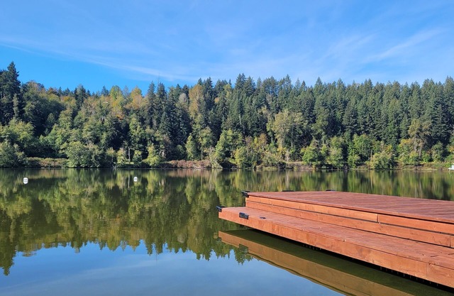 Escape to Ohop Oasis, a lakeside Retreat nestled in the foothills of Mt. Rainier