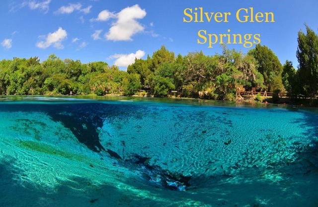 Escape to our Cozy Home with Crystal-Clear Springs and Trails