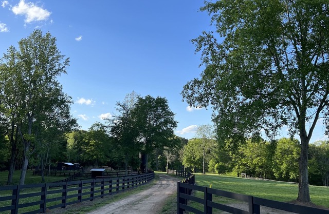 Escape to Our Serene Farm Cabin, Surrounded by Beautiful Rolling Pastures!