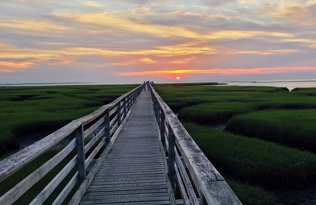 Escape to the Cape!