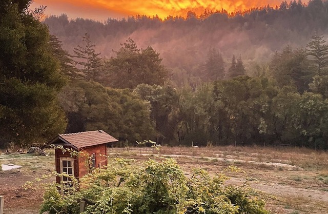 Escape to the Sun: Enjoy the Comfort & Beauty of our Guest Home on a Family Farm