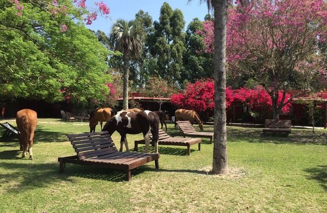 Estancia Don Joaquin