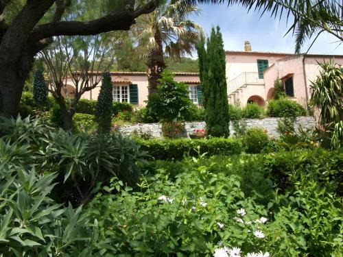 Ester Home Procchio Mare E Sole