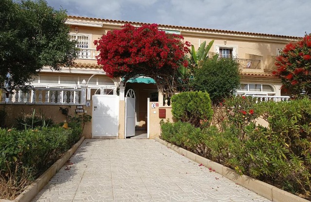 Estrella de Mar