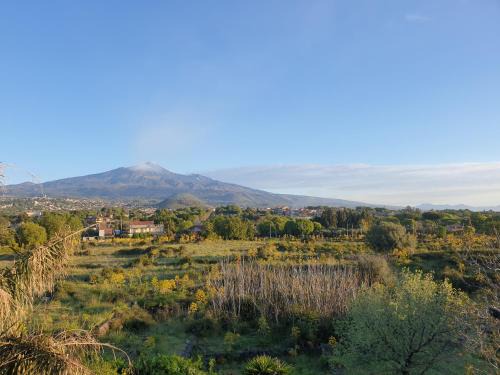 ETNA VIEW