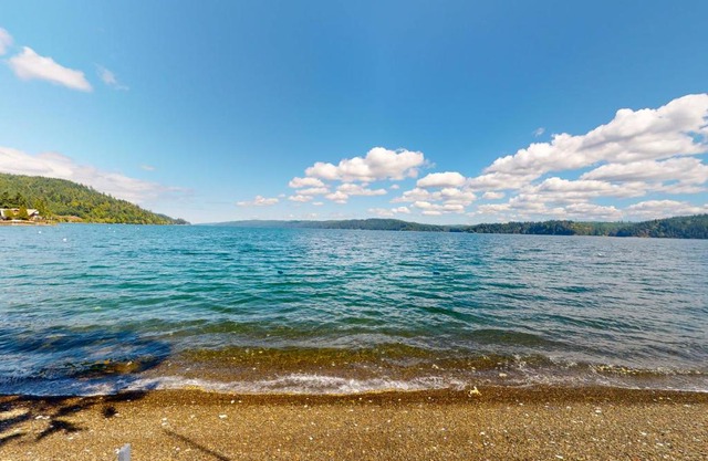 Euphoria on the Fjord