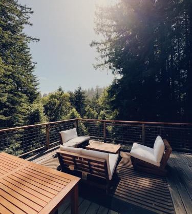 Evergreen Escape