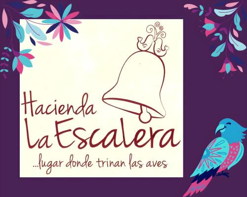 Ex Hacienda