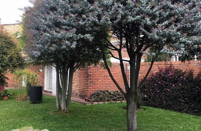 Ausgezeichnete Studio-Wohnung - Nizza -Bogota Kolumbien