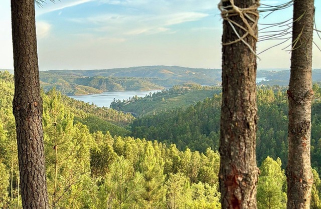Exclusive Caravan With a Stunning Views