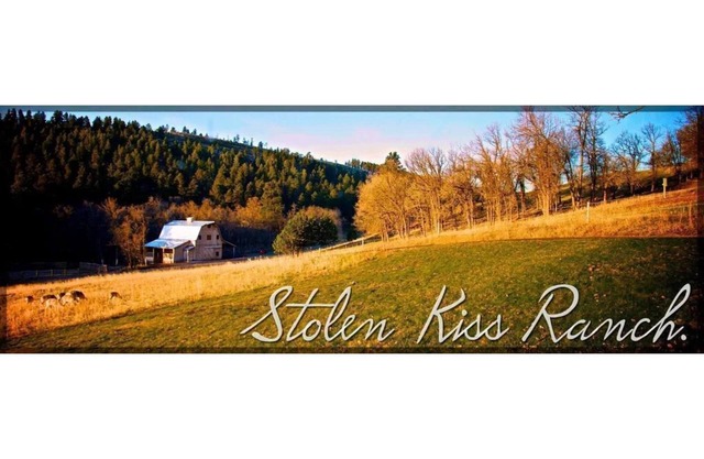 Black Hills Equestrian Resort, in der Nähe von Deadwood, Spearfish, Sturgis und Mt Rushmore