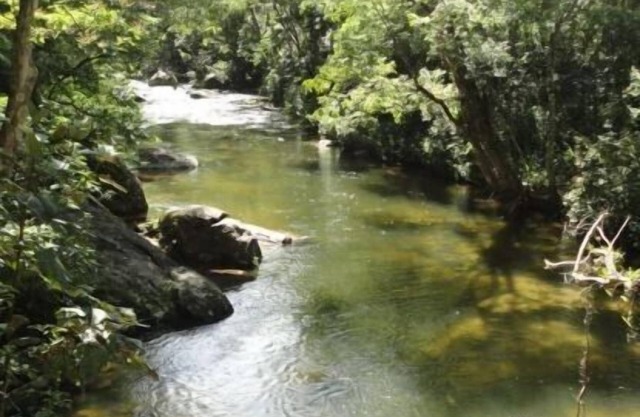Mieten Sie schöne Stelle im Naturschutzgebiet von Macaé de Cima - Nova Friburgo