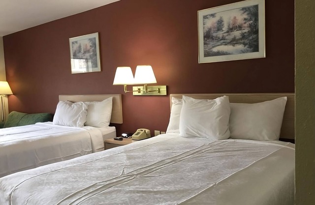 Experience Maximum Comfort! Pool, FREE Parking & Breakfast!