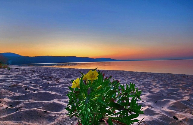 **Experience Relaxation at our Lakeside Retreat and First-Class Ski Resort**