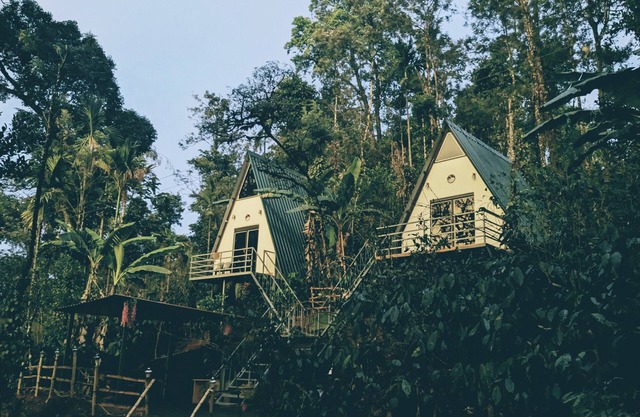 Experience Serenity at Coorgology estate stay in Lush Coffee Plantations