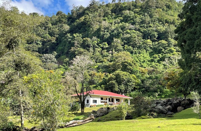 Experience the spectacular natural beauty and tranquility of The Emerald Forest
