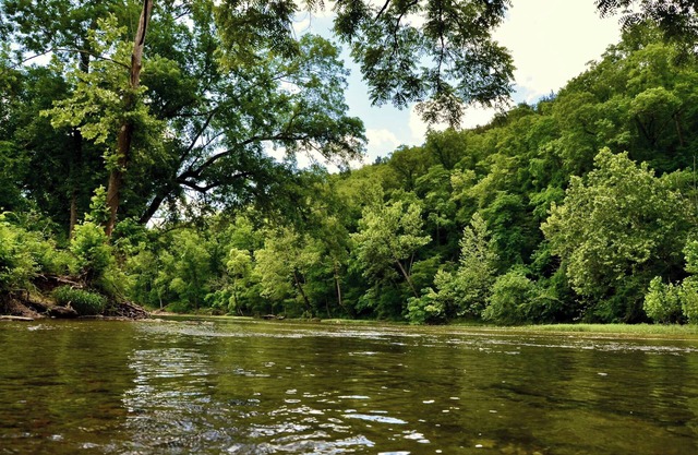 Experience the timeless charm of the Pinecrest Cabin, a delightful twist on the classic cabin style. Step inside and be greeted by the warm and rustic log cabin ambiance that will transport you to the heart of Branson, MO.