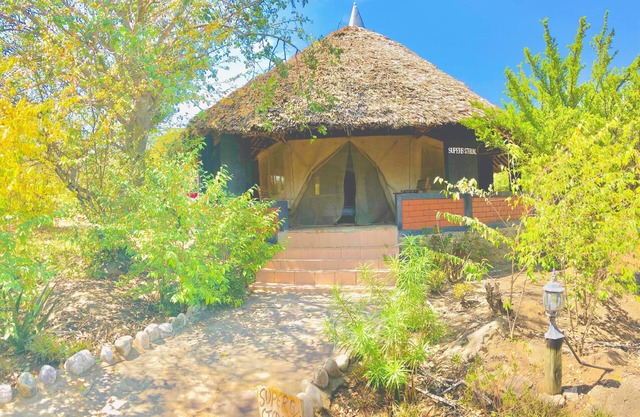 Explore Nature Mara Lodge