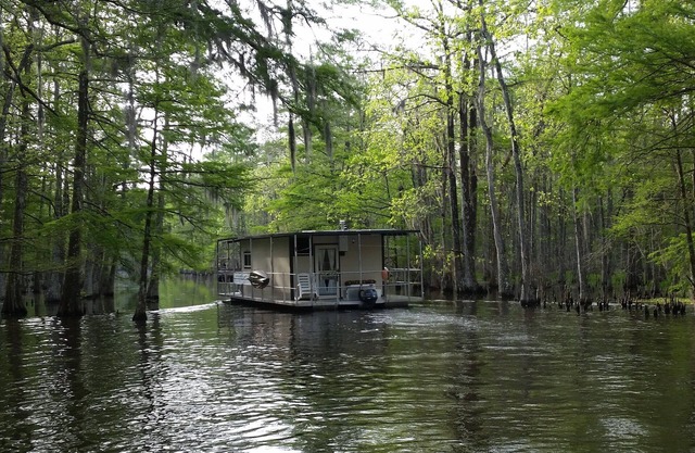 Entdecken Sie die Bayous von South Louisiana!