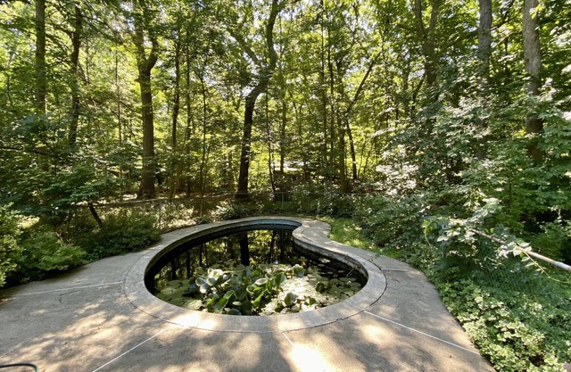 Exquisite Contemporary Home Overlooking Woods