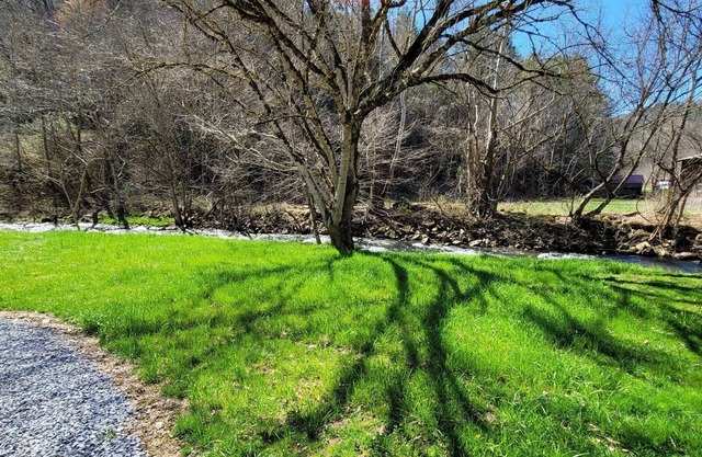 Extra large grassy creekside tent site!