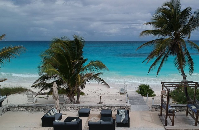 Exuma Palms