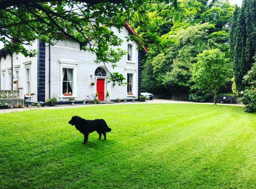Fabulous 6 Bedroom Victorian Period House