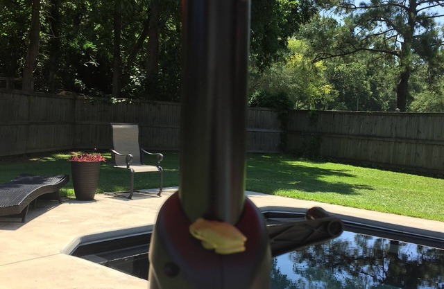 Fabulous Family 4BD Pool Rental