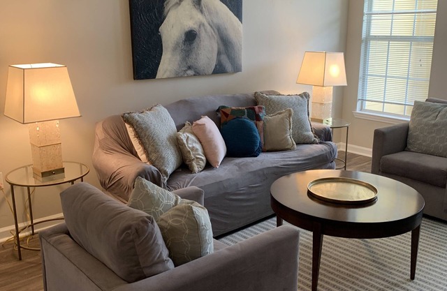 Fabulous One Bed/One Bath Corporate Furnished Apt in Alpharetta