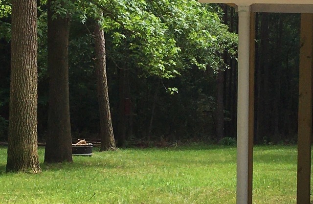 Family and Pet friendly- Shirley Creek lake house at Sam Rayburn!