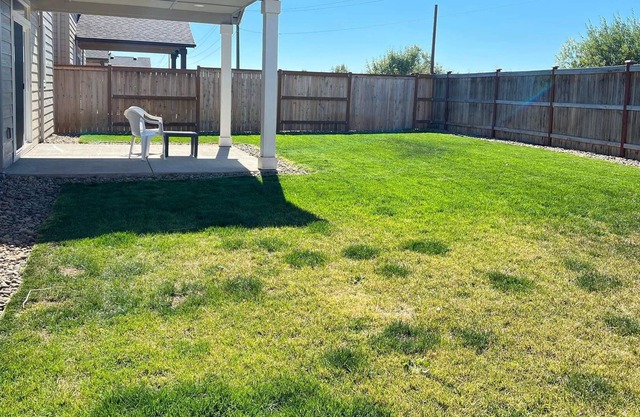 Family and Pet Friendly House