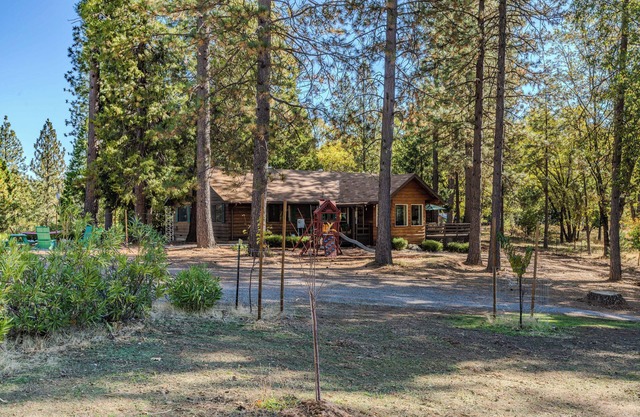 Family & Dog friendly Fenced 5Acr: Pool Table, Playground, Firepit, BBQ, Starlnk