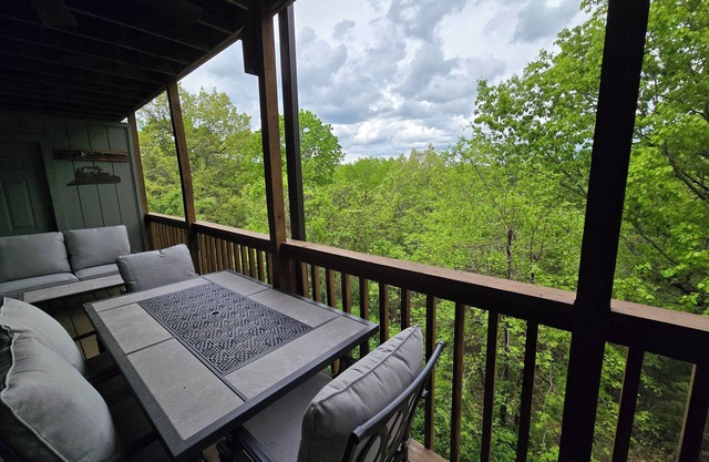 Family Friendly 2-bed 2-bath Woodland condo just 2 mi to Silver Dollar City