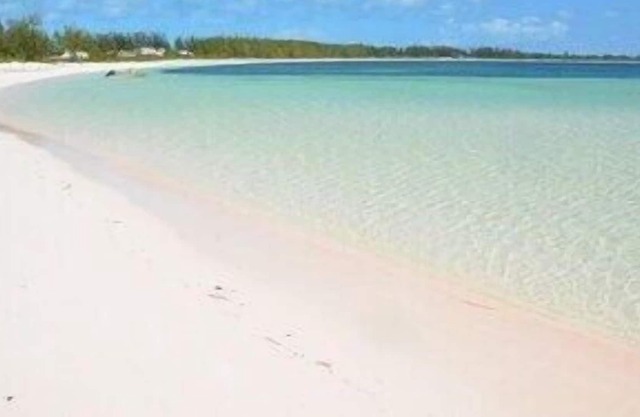 Family Friendly Beachfront Pink Sand Beaches Sleeps up to 15